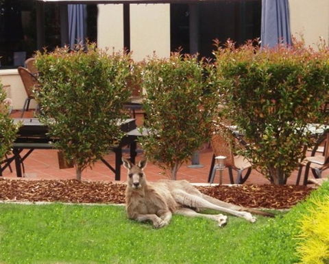 Alpha Hotel Canberra - Holiday Sunshine Coast 1