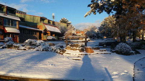 Alpine Gables 33 - Sunshine Coast Tourism 1