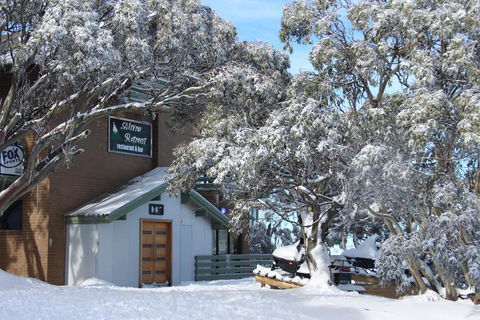 Alpine Retreat Mt Buller - Sunshine Coast Tourism 0