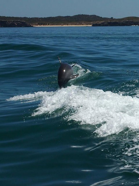 Anchorage Guest House And Self-contained Accommodation - Holiday Sunshine Coast 1