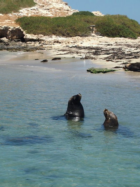 Anchorage Guest House And Self-contained Accommodation - Holiday Sunshine Coast 3