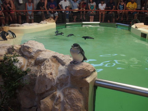 Anchorage Guest House And Self-contained Accommodation - Holiday Sunshine Coast 2