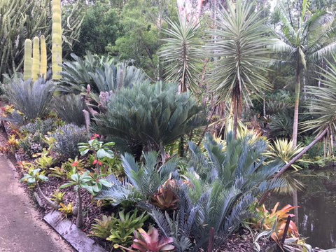 Ancient Gardens Guesthouse & Botanical Gardens - Sunshine Coast Tourism 2