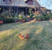 Angaston by the Winter Creek - Holiday Sunshine Coast