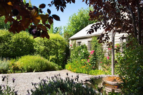 Argus Hill Cottage - Sunshine Coast Tourism 1