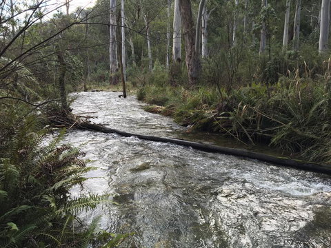 Ariane - Sunshine Coast Tourism 3