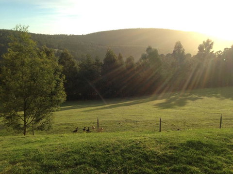 Arjuna Ridge Bed And Breakfast - Sunshine Coast Tourism 0