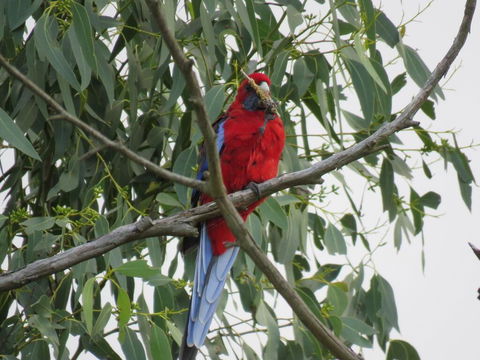 Arnold House - Holiday Sunshine Coast 2