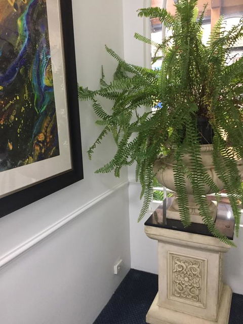 Art Hotel On York - Holiday Sunshine Coast 2