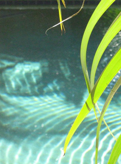 Artizen - Holiday Sunshine Coast 3