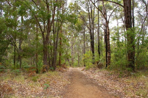 Ashleigh - Holiday Sunshine Coast 2