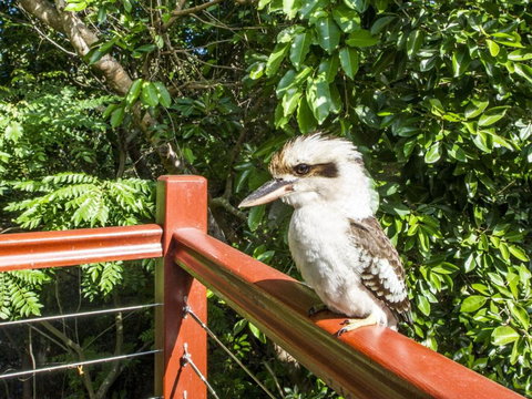 Magnetic Effect - Holiday Sunshine Coast 3