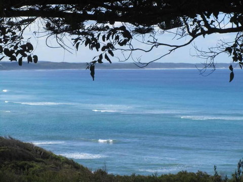 Maizies View - A Hidden Gem - Holiday Sunshine Coast 1