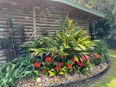 Mallacoota Log Cabins - Holiday Sunshine Coast 2