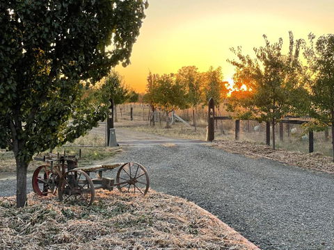 Maple Lane Farm Stay - Sunshine Coast Tourism 0