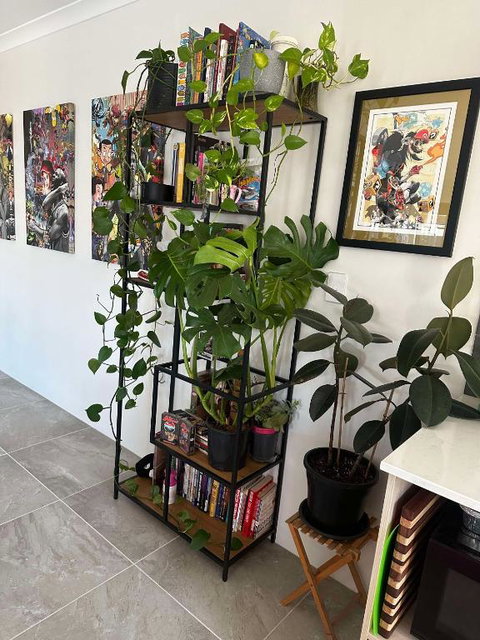 Master Bedroom Beechboro - Holiday Sunshine Coast 2