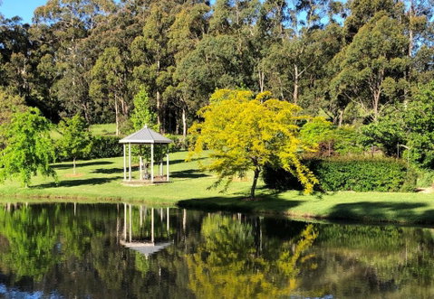 Meriba B And B - Sunshine Coast Tourism 0