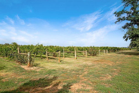 Milawa Vineyard Views - Guesthouse 2 - Sunshine Coast Tourism 0