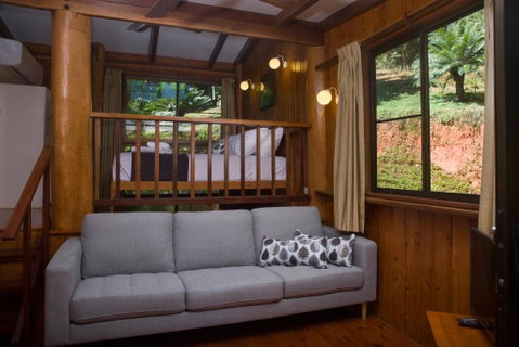 Milkwood Lodge - Sunshine Coast Tourism 1