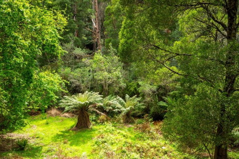 Millers Rest - Sunshine Coast Tourism 3