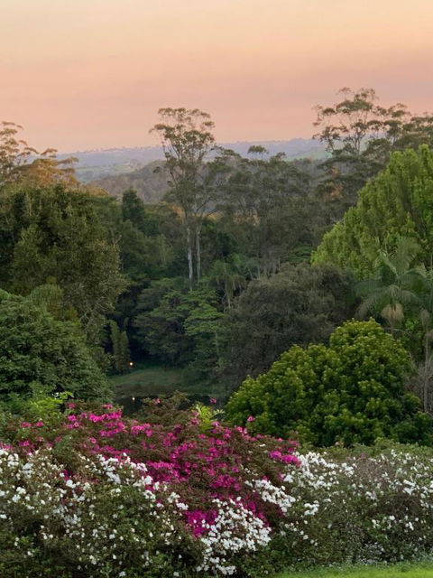 Montville Country Cabins - Holiday Sunshine Coast 1