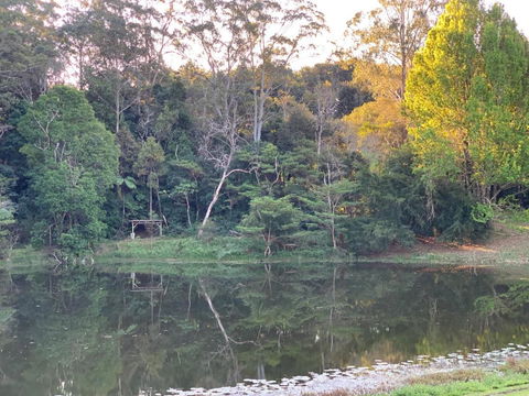 Montville Country Cabins - Holiday Sunshine Coast 3