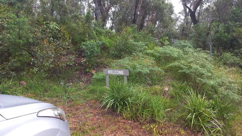 Mountain Tranquility - Holiday Sunshine Coast 3