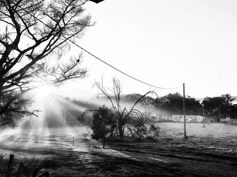 Mountview Wines And Accommodation - Sunshine Coast Tourism 1