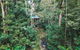 Narrows Escape Rainforest Retreat - thumb 0