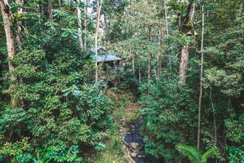Narrows Escape Rainforest Retreat with Sunshine Coast Tourism