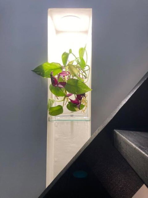 Nature Retreat & Artists Studio 90mins From Sydney - Holiday Sunshine Coast 2