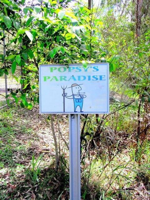 Nature Retreat & Artists Studio 90mins From Sydney - Holiday Sunshine Coast 3