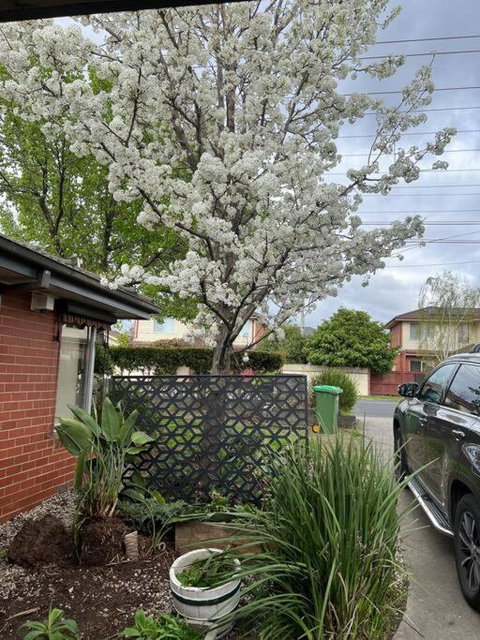 Newly Refurbished House- SuperFast Internet - Sunshine Coast Tourism 2