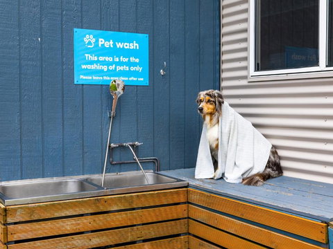 NRMA Forster Tuncurry - Holiday Sunshine Coast 3