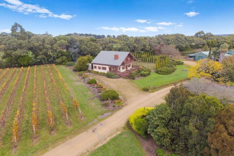 Northway Downs Estate Vineyard - Sunshine Coast Tourism 3