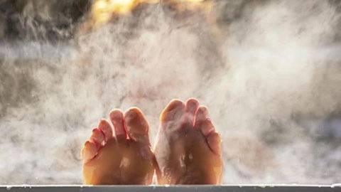 Nungaroo Cottage - Holiday Sunshine Coast 3