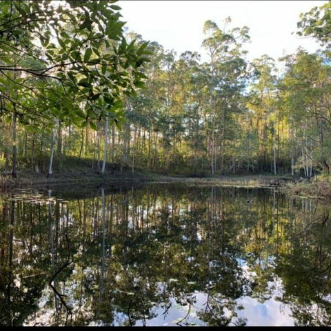 Oakey Creek Country Retreat Kenilworth - Sunshine Coast Tourism 2