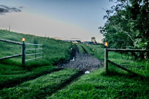 Obi Creek Cabin - Sunshine Coast Tourism 1