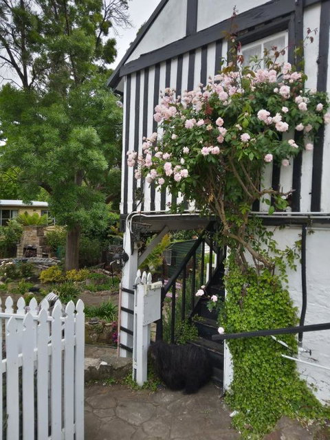 Old Colony Inn - Sunshine Coast Tourism 2