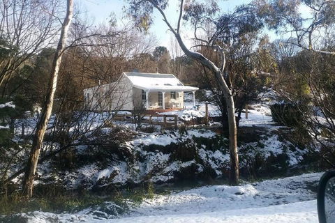 Old Oak Tree Cottage - Sunshine Coast Tourism 1