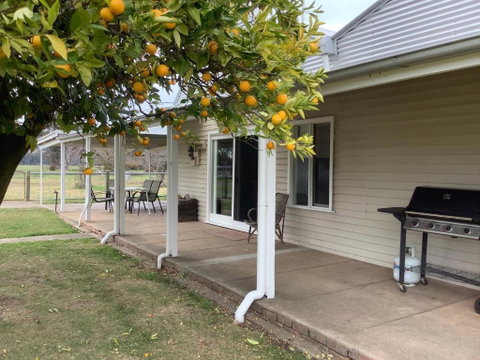 Orange Tree Cottage - Sunshine Coast Tourism 0