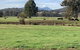 Orange Tree Cottage - thumb 3