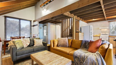 Paddys - Sunshine Coast Tourism 1