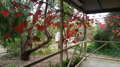 Padthaway Caravan Park - Sunshine Coast Tourism 1