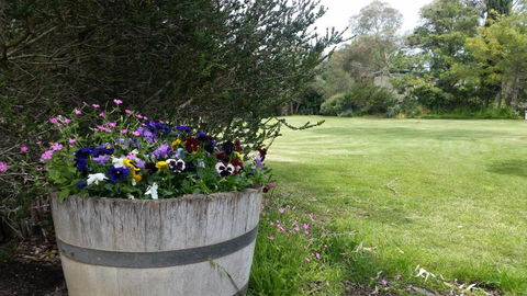Padthaway Caravan Park - Sunshine Coast Tourism 0