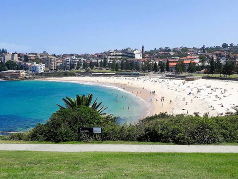 Penthouse Apartment Ocean Views - Sunshine Coast Tourism 2