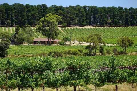 Picturesque Vineyard Farmhouse Nestled On 40-Acres - Sunshine Coast Tourism 0
