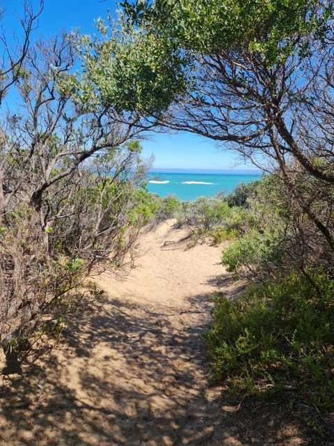 PIECE OF PARADISE, Huge 4 Bedroom Haven - Sunshine Coast Tourism 0