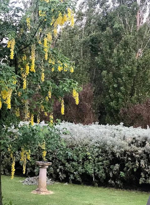 Pierrepoint Accommodation - Sunshine Coast Tourism 1