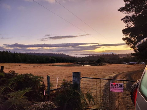 Pine Edge Heights By Tiny Away - Sunshine Coast Tourism 2